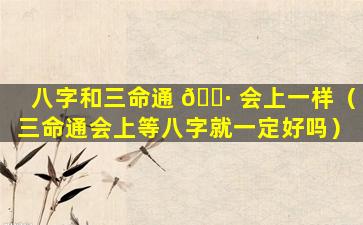 八字和三命通 🌷 会上一样（三命通会上等八字就一定好吗）